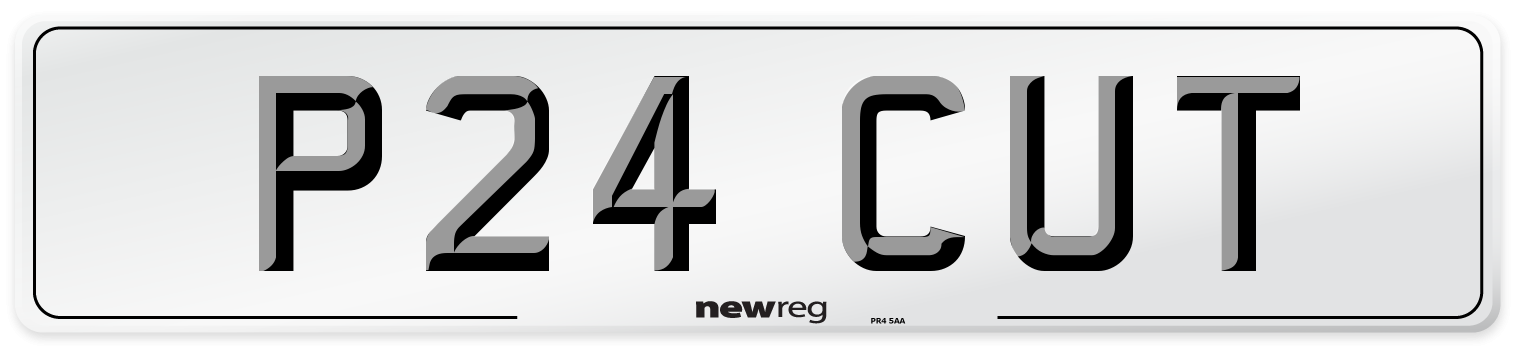 P24 CUT Number Plate from New Reg